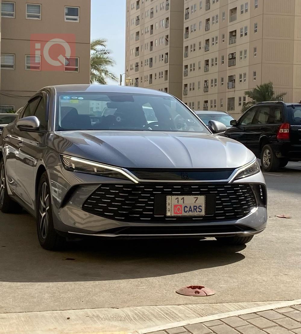 بي واي دي كوين L DM-i